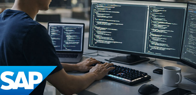 Programmatore Sap