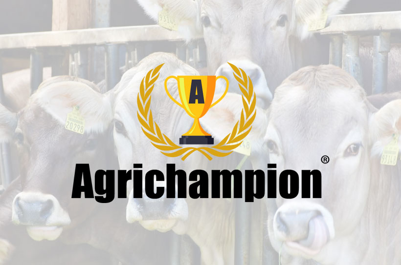 Agrichampion Srl