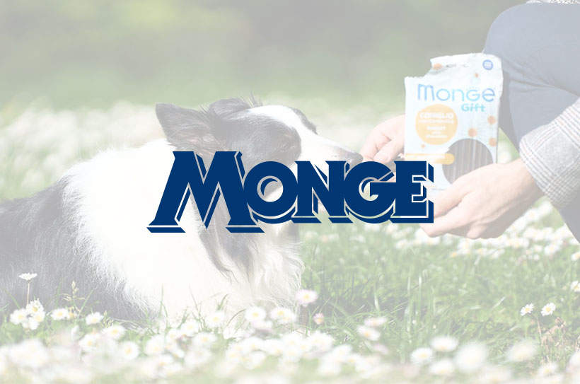 Monge & C. Spa